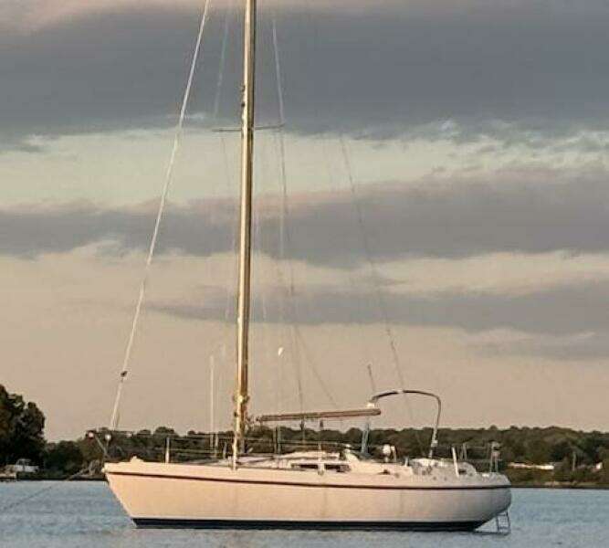 Agagio 36ft Contest Yacht For Sale