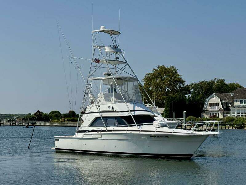 RumRunner 37ft Bertram Yacht For Sale