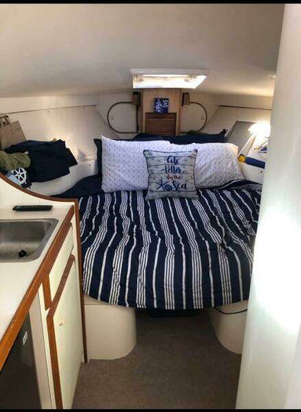 Now We re Cookin  28ft Bertram Yacht For Sale
