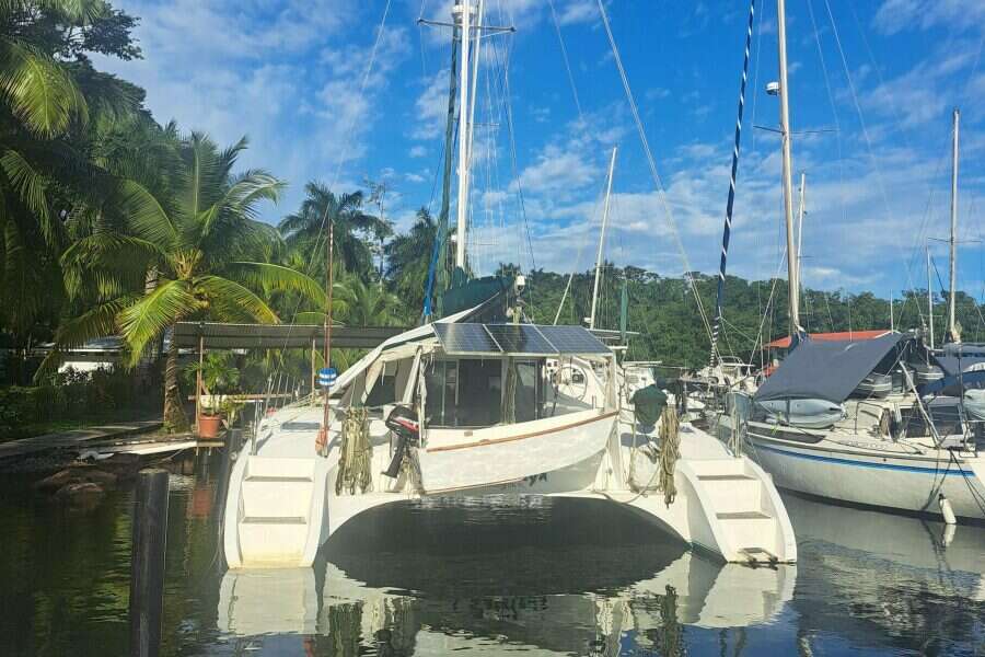 2000-charter-cat-wildcat-35-sail-9915758-20250819174930597-3.jpg