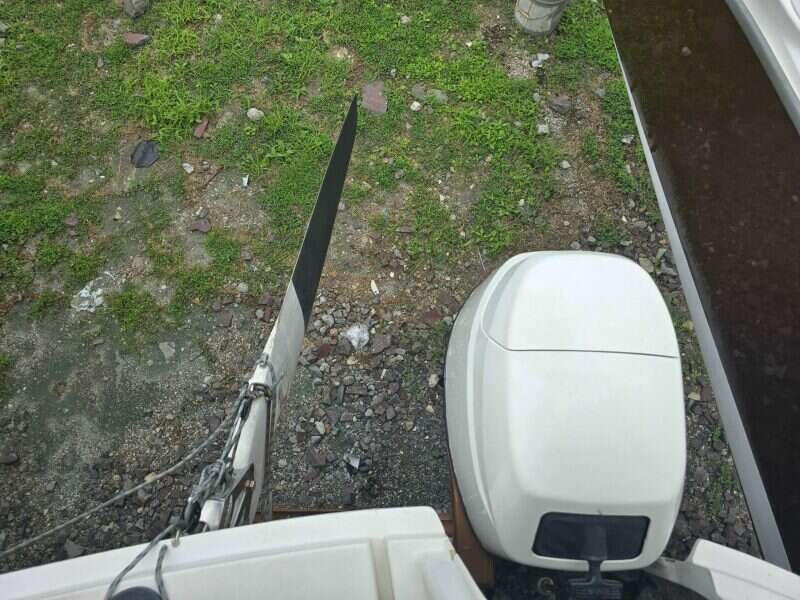 2014-dragonfly-32-swing-wing-supreme-sail-9853901-20250626221134628-1.jpg