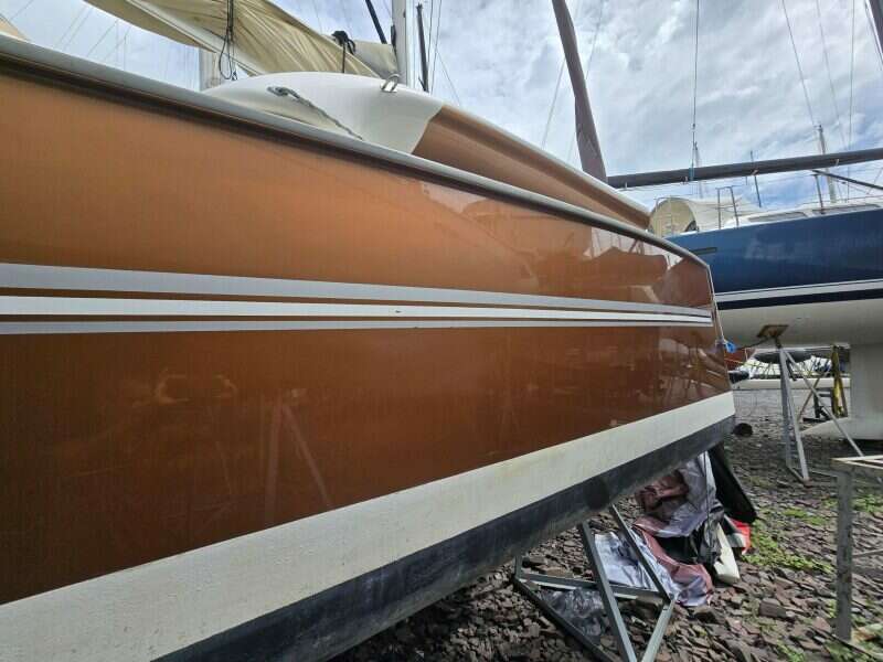 2014-dragonfly-32-swing-wing-supreme-sail-9853901-20250626220249319-1.jpg