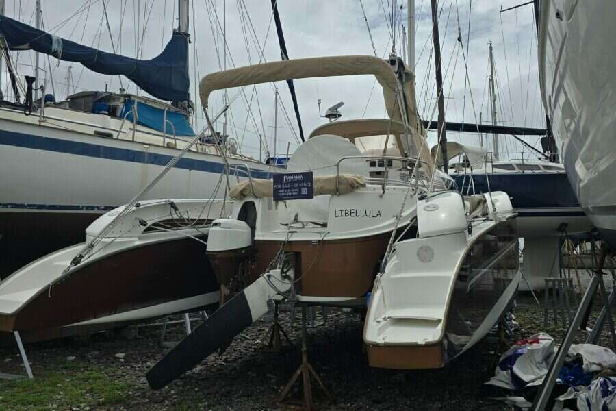 2014-dragonfly-32-swing-wing-supreme-sail-9853901-20250626221258307-1.jpg