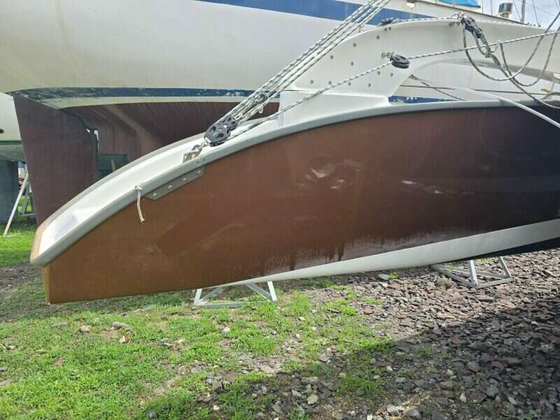 2014-dragonfly-32-swing-wing-supreme-sail-9853901-20250626220134815-1.jpg