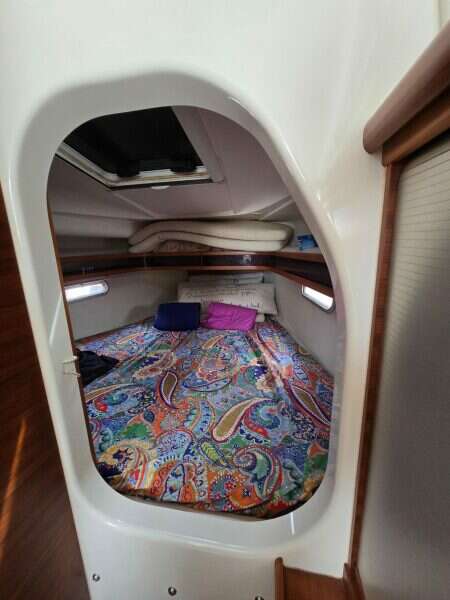 2014-dragonfly-32-swing-wing-supreme-sail-9853901-20250626220815228-1.jpg
