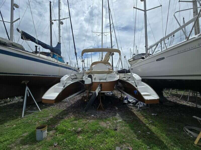 2014-dragonfly-32-swing-wing-supreme-sail-9853901-20250626220353926-1.jpg