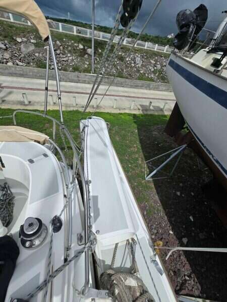 2014-dragonfly-32-swing-wing-supreme-sail-9853901-20250626220716586-1.jpg