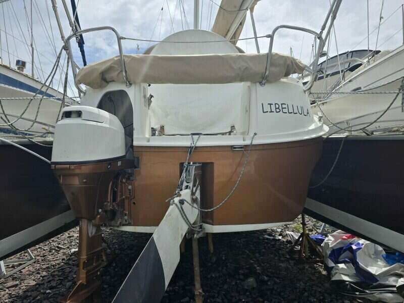 2014-dragonfly-32-swing-wing-supreme-sail-9853901-20250626220121799-1.jpg