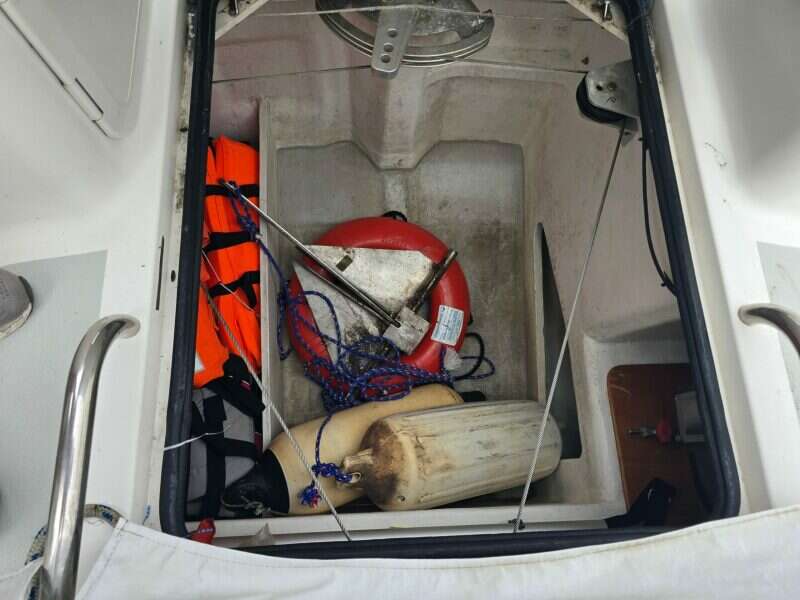 2014-dragonfly-32-swing-wing-supreme-sail-9853901-20250626221103140-1.jpg