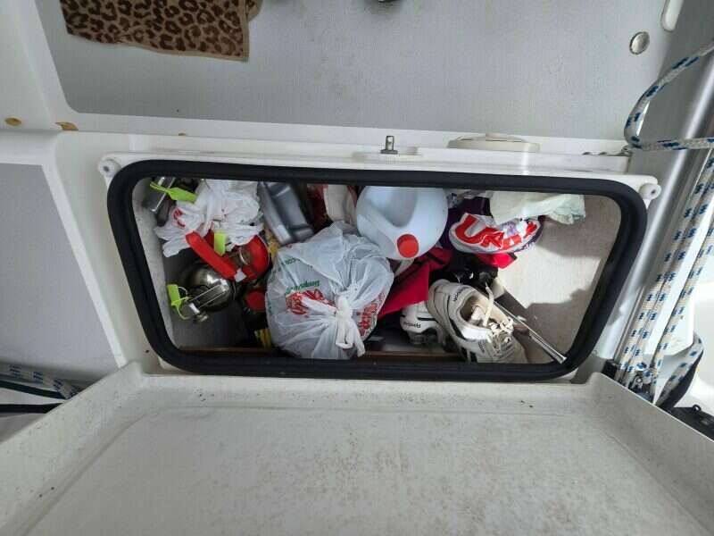 2014-dragonfly-32-swing-wing-supreme-sail-9853901-20250626220744546-1.jpg