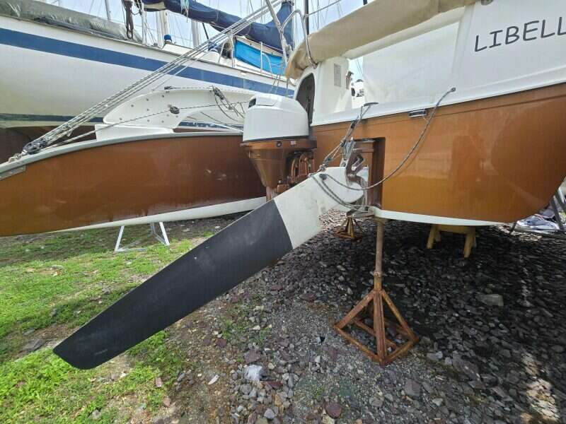 2014-dragonfly-32-swing-wing-supreme-sail-9853901-20250626220146918-1.jpg