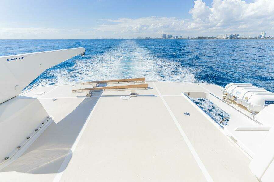 Flybridge Facing Aft/Davit