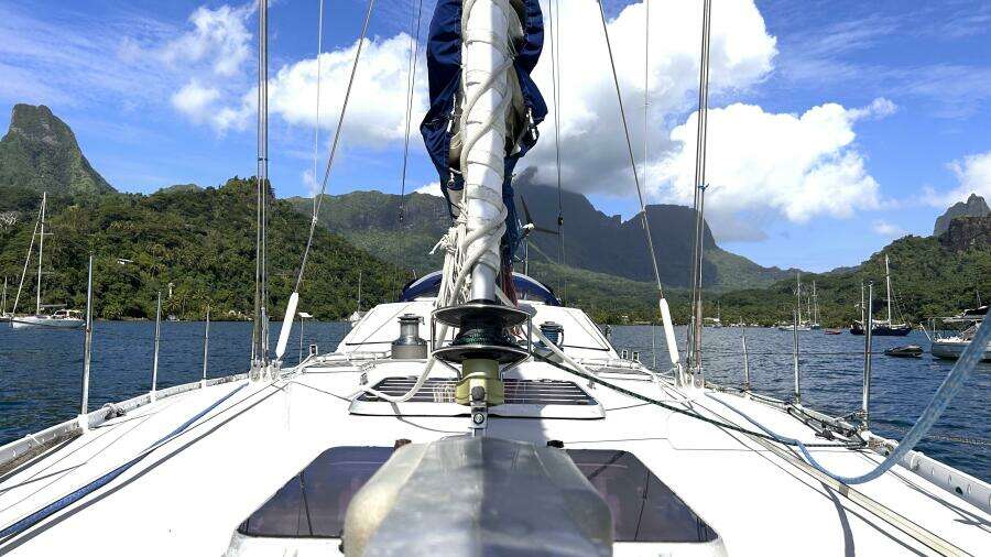 Diatomee 59ft Custom Yacht For Sale