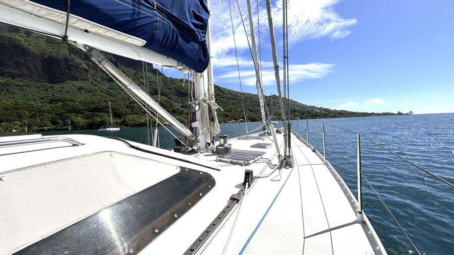 Diatomee 59ft Custom Yacht For Sale