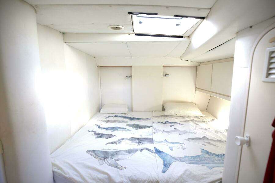 Diatomee 59ft Custom Yacht For Sale