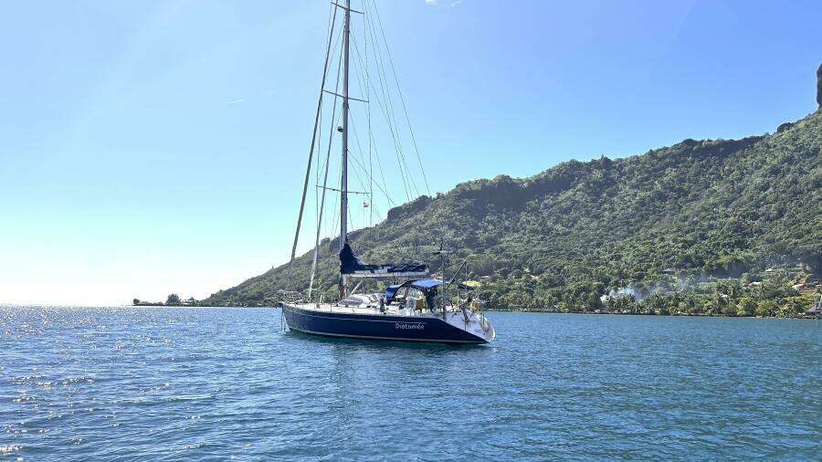 Diatomee 59ft Custom Yacht For Sale