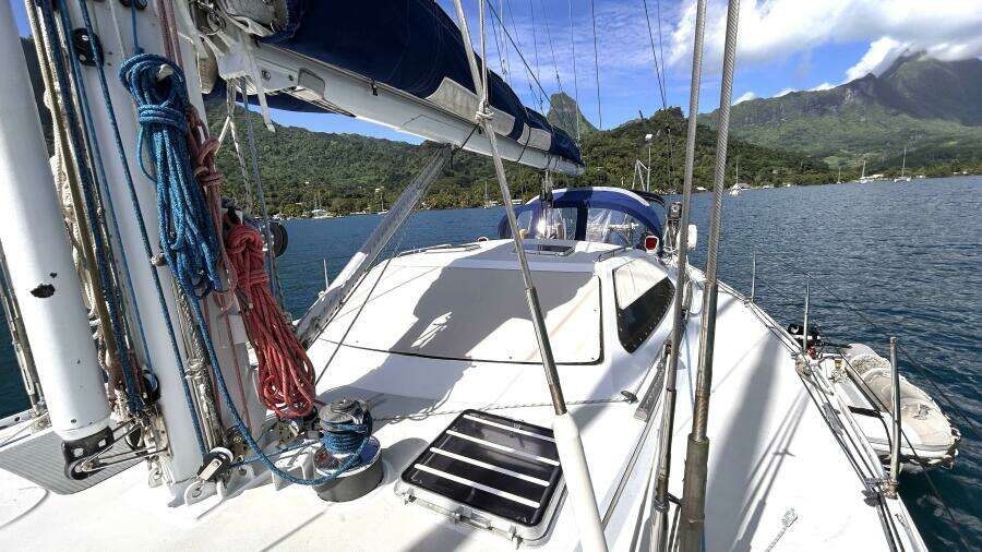 Diatomee 59ft Custom Yacht For Sale