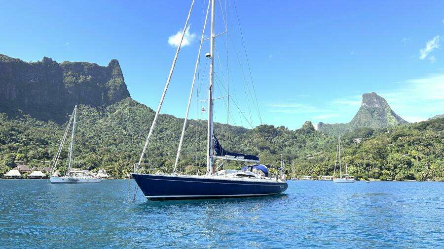 Diatomee 59ft Custom Yacht For Sale