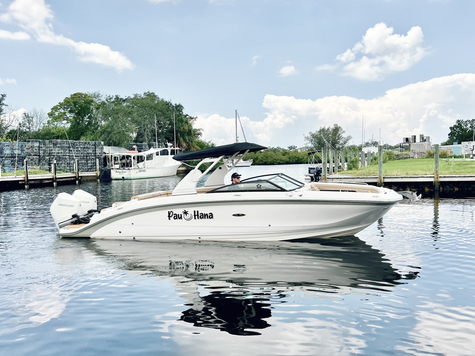2019 Sea Ray SDX 290 OB
