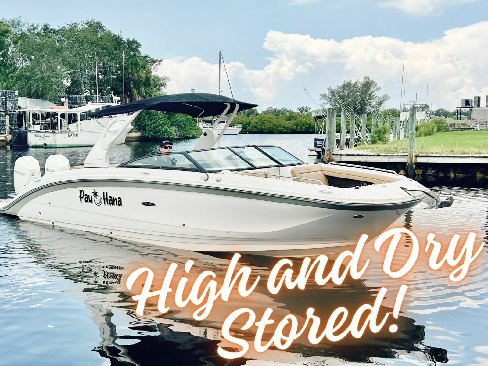 2019 Sea Ray SDX 290 OB