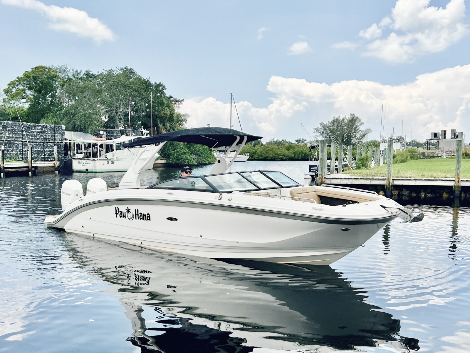 2019 Sea Ray SDX 290 OB