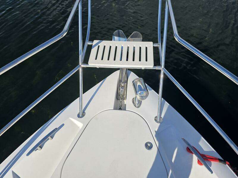 Boaty McBoatface 43ft Four Winns Yacht For Sale