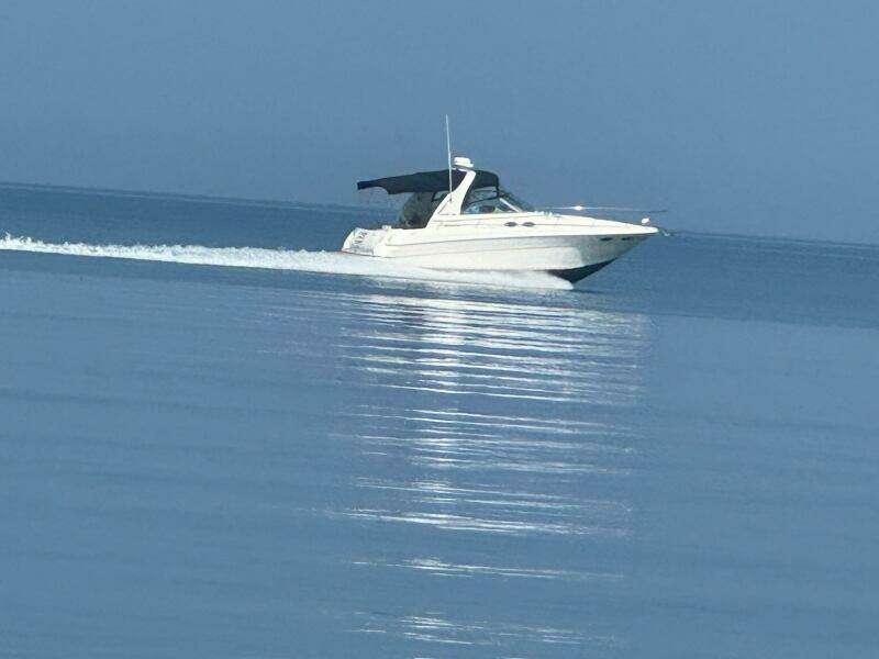 31ft Sea Ray Yacht For Sale