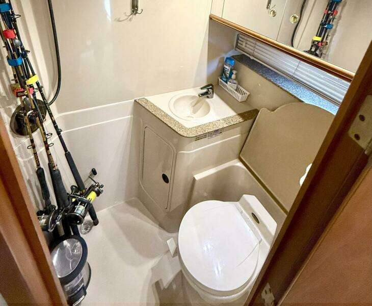 Creme Brulee 42ft Cruisers Yachts Yacht For Sale