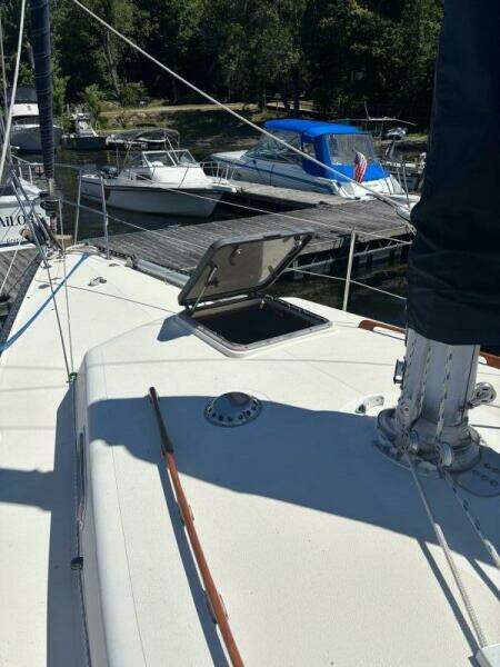 ZONE 34ft Aloha Yacht For Sale