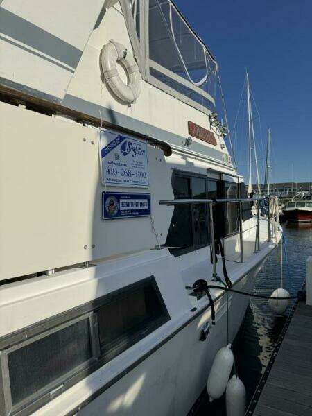 Andiamo 43ft Marine Trader Yacht For Sale