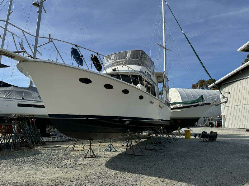 Andiamo 43ft Marine Trader Yacht For Sale