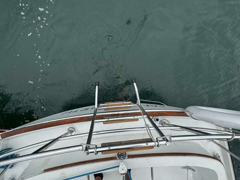 26ft Nonsuch Yacht For Sale