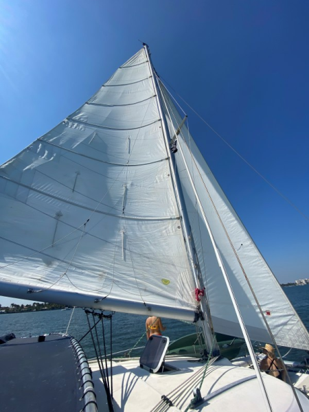 Used Sail Catamaran for sale