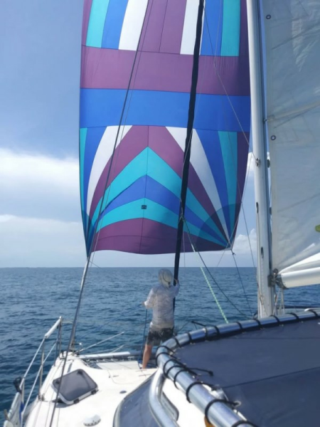 Used Sail Catamaran for sale