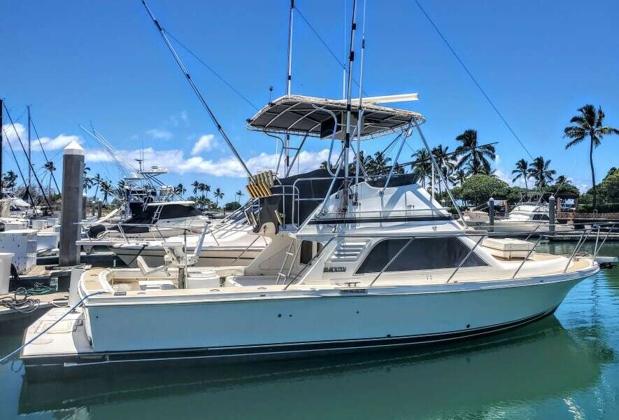 LOKAHI 33ft Blackfin Yacht For Sale