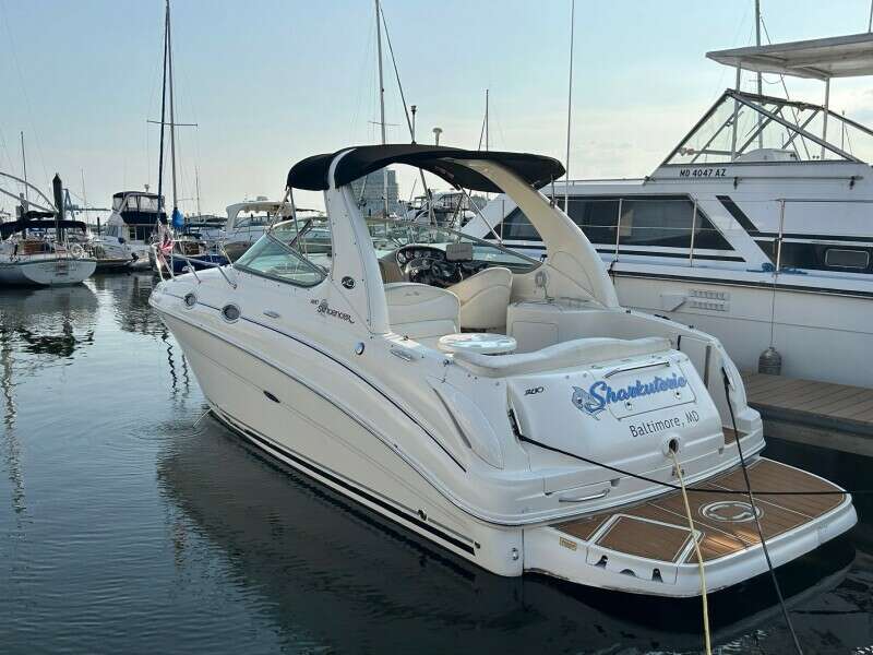 Sharkuterie 28ft Sea Ray Yacht For Sale