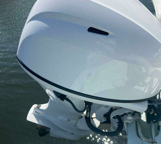 15ft Dragonfly Yacht For Sale