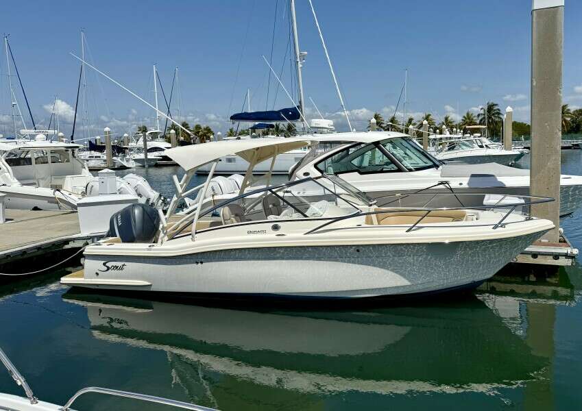 24ft Scout Yacht For Sale