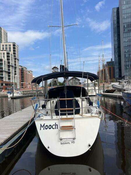 Mooch 30ft Sabre Yacht For Sale