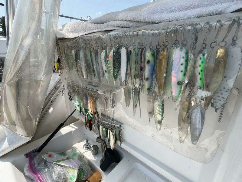 Lucky Dog 30ft Rampage Yacht For Sale