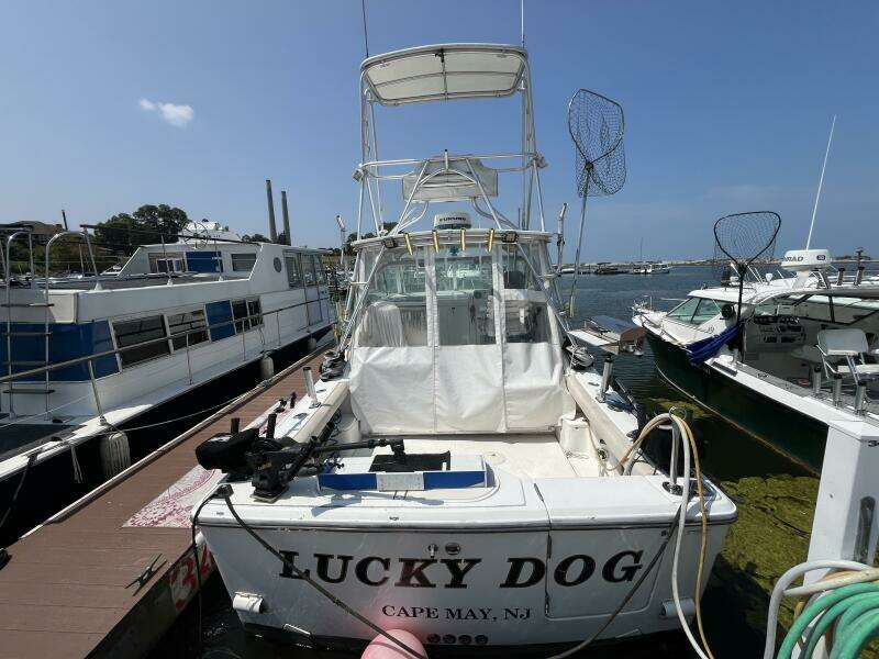Lucky Dog 30ft Rampage Yacht For Sale