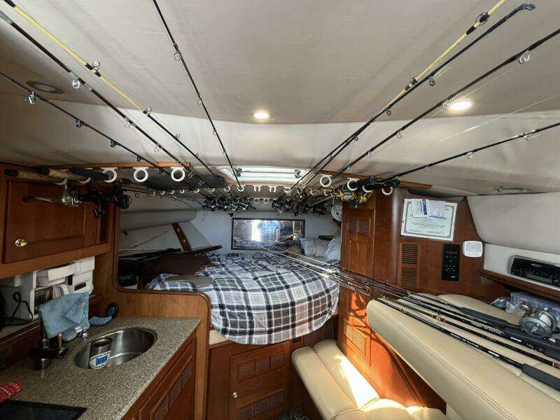 Lucky Dog 30ft Rampage Yacht For Sale