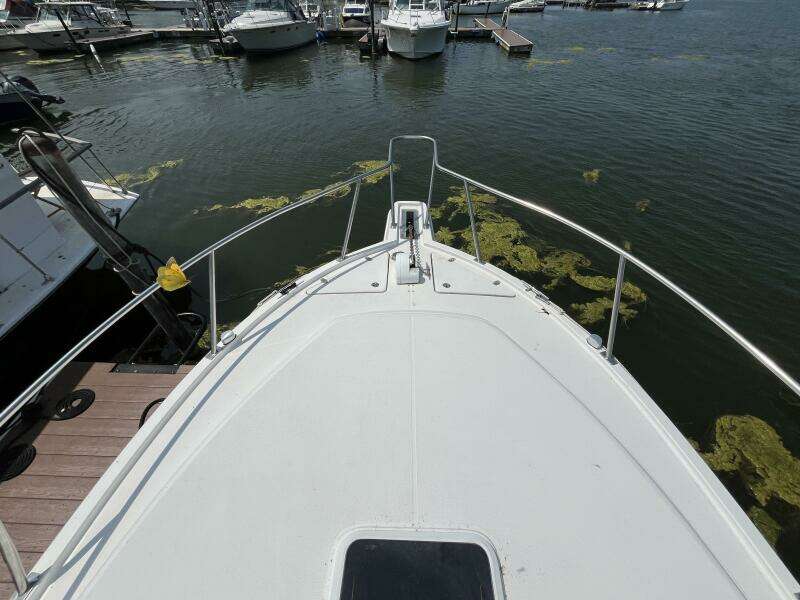 Lucky Dog 30ft Rampage Yacht For Sale