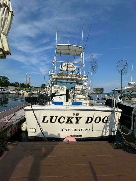 Lucky Dog 30ft Rampage Yacht For Sale