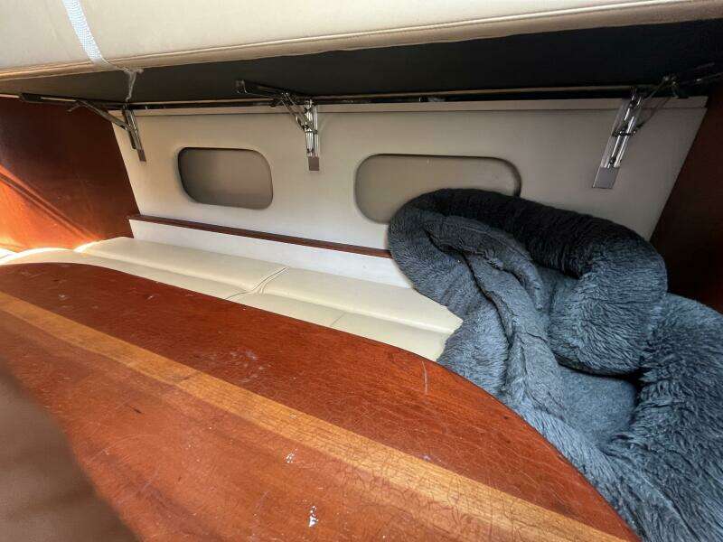 Lucky Dog 30ft Rampage Yacht For Sale