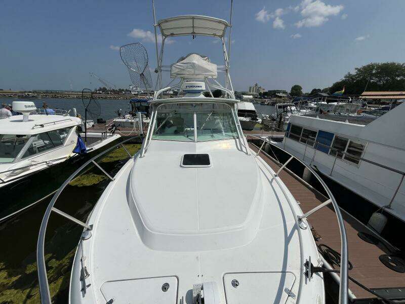 Lucky Dog 30ft Rampage Yacht For Sale