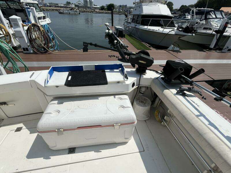Lucky Dog 30ft Rampage Yacht For Sale