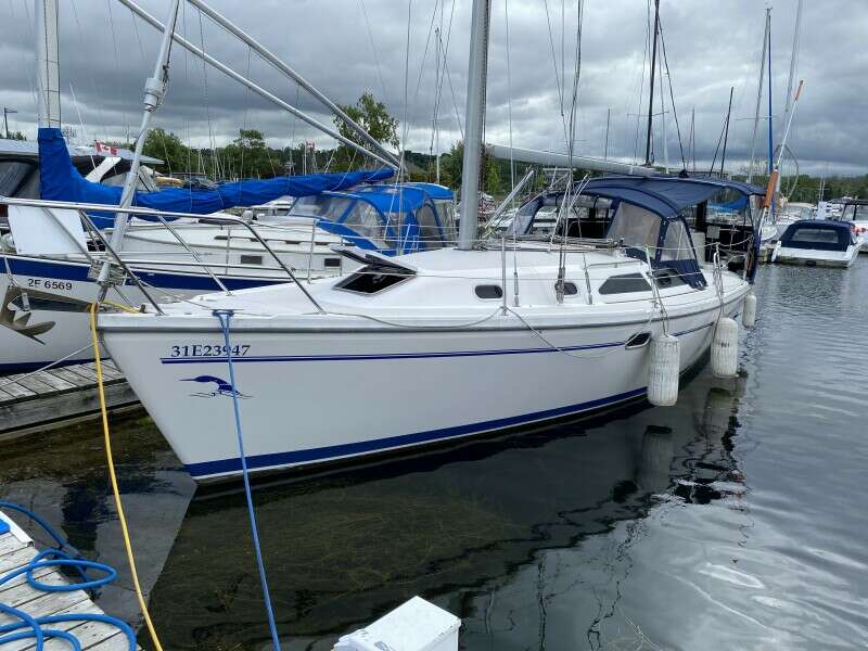 Loonseeker 31ft Catalina Yacht For Sale