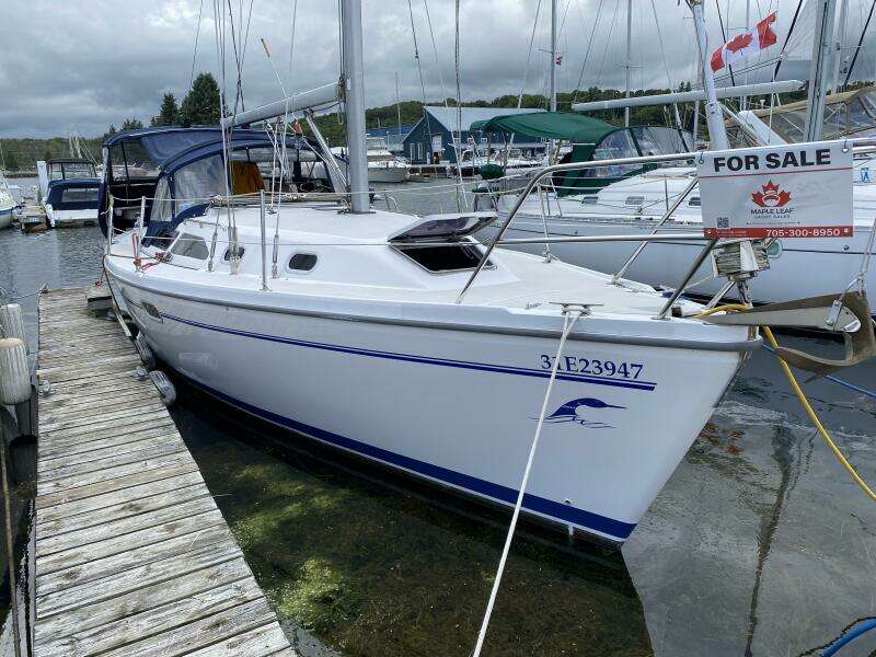 Loonseeker 31ft Catalina Yacht For Sale