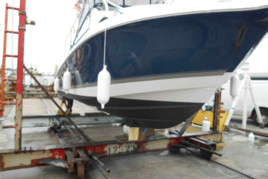Delfini 27ft Wellcraft Yacht For Sale